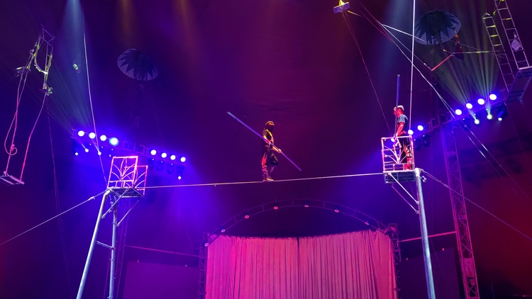 【原创】山东莱州大基山首届动物嘉年华活动盛大开幕_fororder_bc2edc97564844de77e0d87a6703f5b