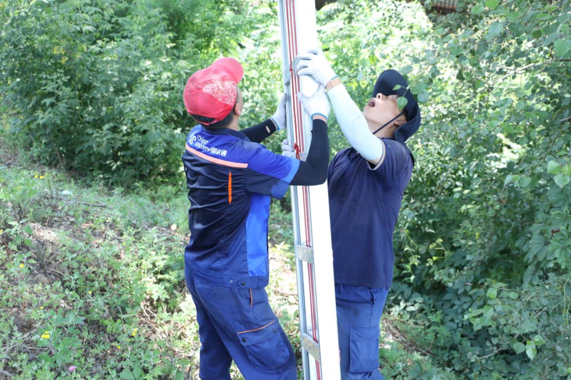 黑龍江聯通強網絡之基“三攻堅”助力鄉村振興數村發展建新功_fororder_圖片1