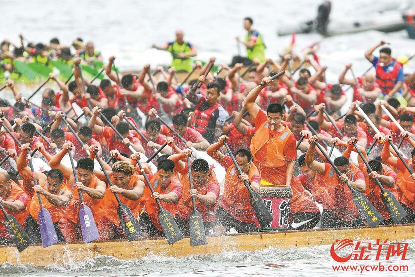 广州国际龙舟邀请赛时隔三年重启 珠江再现百龙争霸