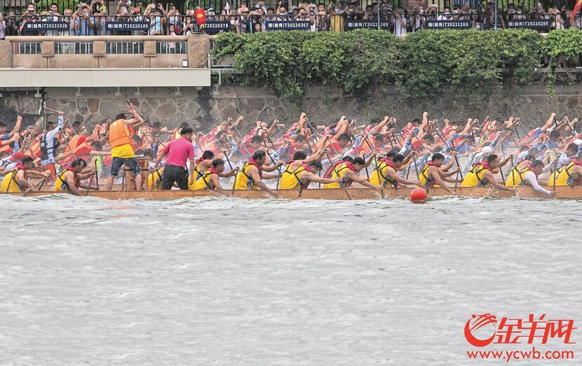 广州国际龙舟邀请赛时隔三年重启 珠江再现百龙争霸