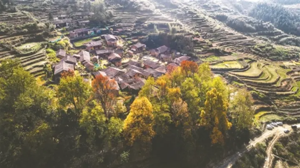 大雅丹棱&诗画修水丨一人两城越千年 携手奋进续前缘_fororder_微信图片_20230718170948