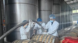 福州连江：紧握核心技术 品牌加速出海