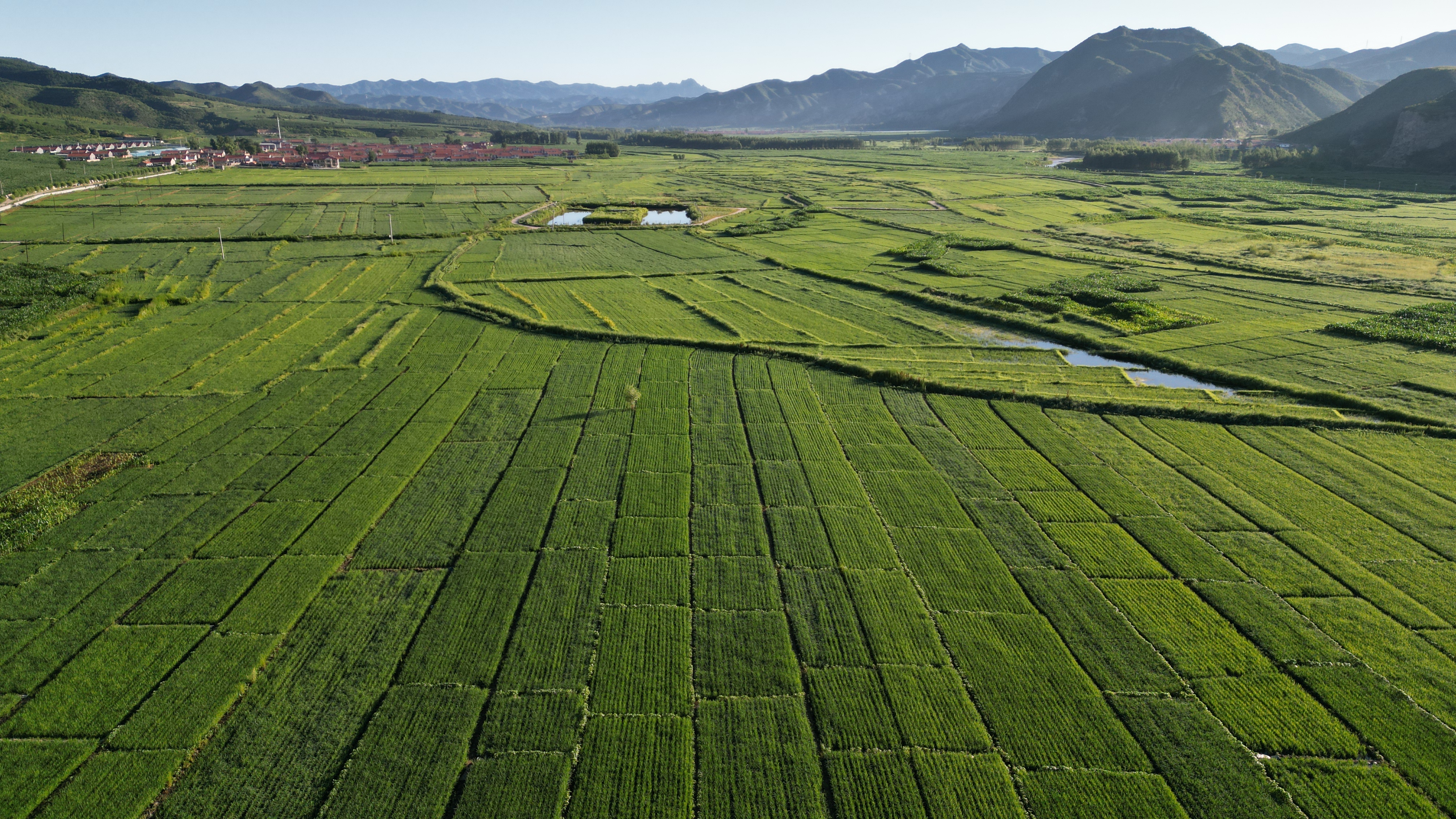 图片默认标题_fororder_1 (2)