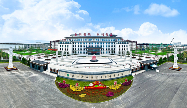 柳林酒文化藝術節特輯丨“粽”情端午 醉美柳林 一文解析柳林美酒何以香飄千年_fororder_圖片13