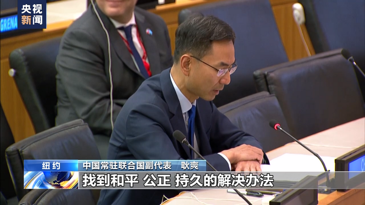 联合国开会审议马尔维纳斯群岛问题 中方坚定支持阿根廷对马岛主权要求