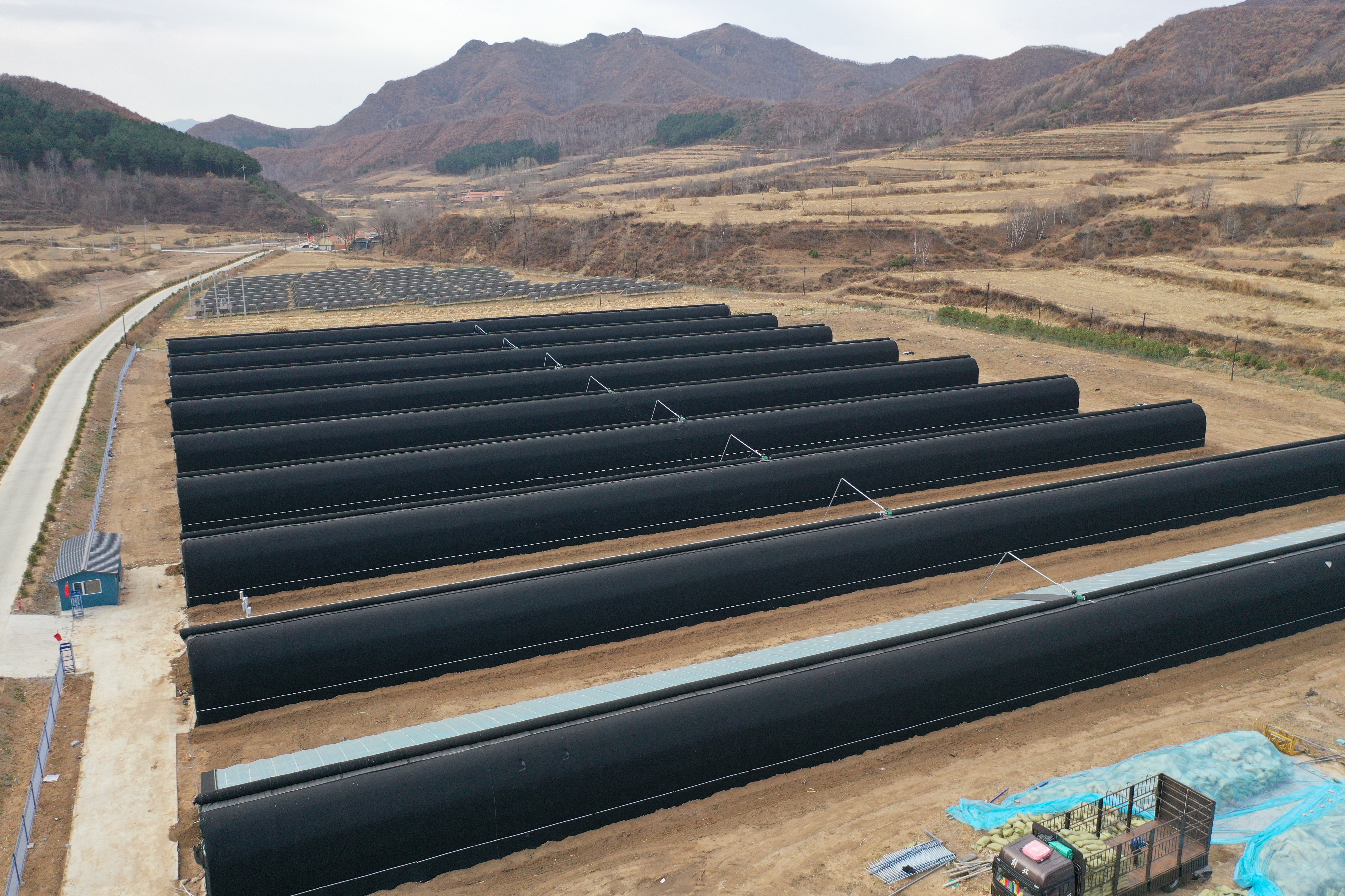 图片默认标题_fororder_3 (2)