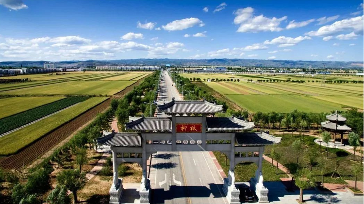 “引文入酒” 産區文化豐富柳林酒文化譜係_fororder_圖片6