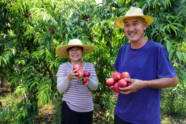 图片默认标题_fororder_004