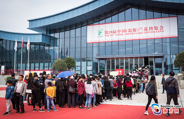 28届中国（翁源）兰花博览会迎来首个周末，万人排队赴“兰花盛会”