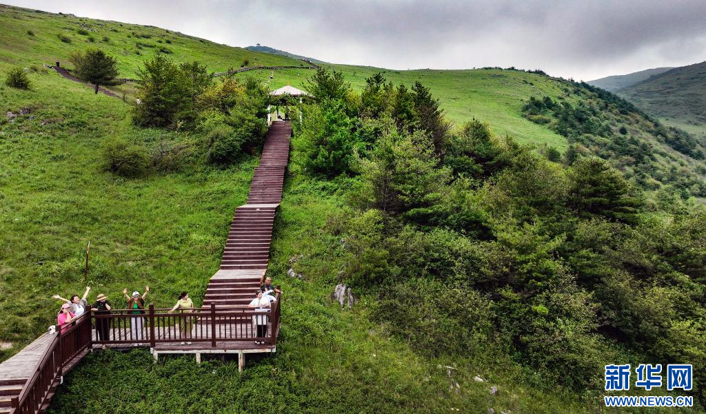 陕西留坝：紫柏山草甸醉游人