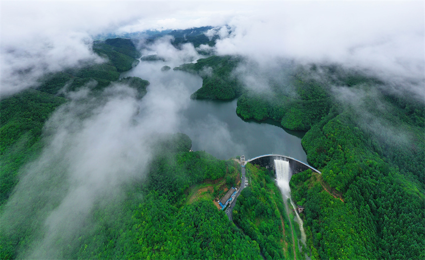 江西乐安：“绿色颜值”变“生态价值”_fororder_LOCAL1687652772248DZD6199SWT