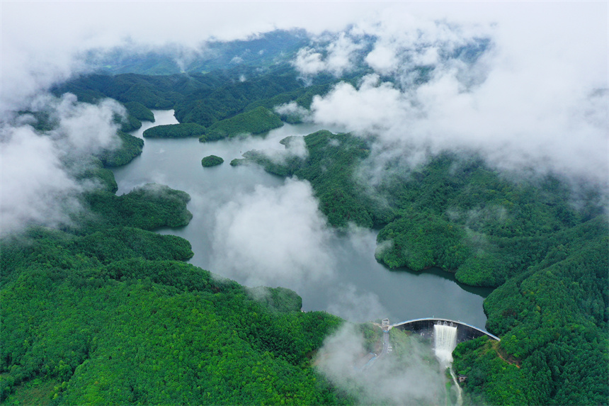 江西乐安：“绿色颜值”变“生态价值”_fororder_LOCAL1687652345267LB92XQHC7D