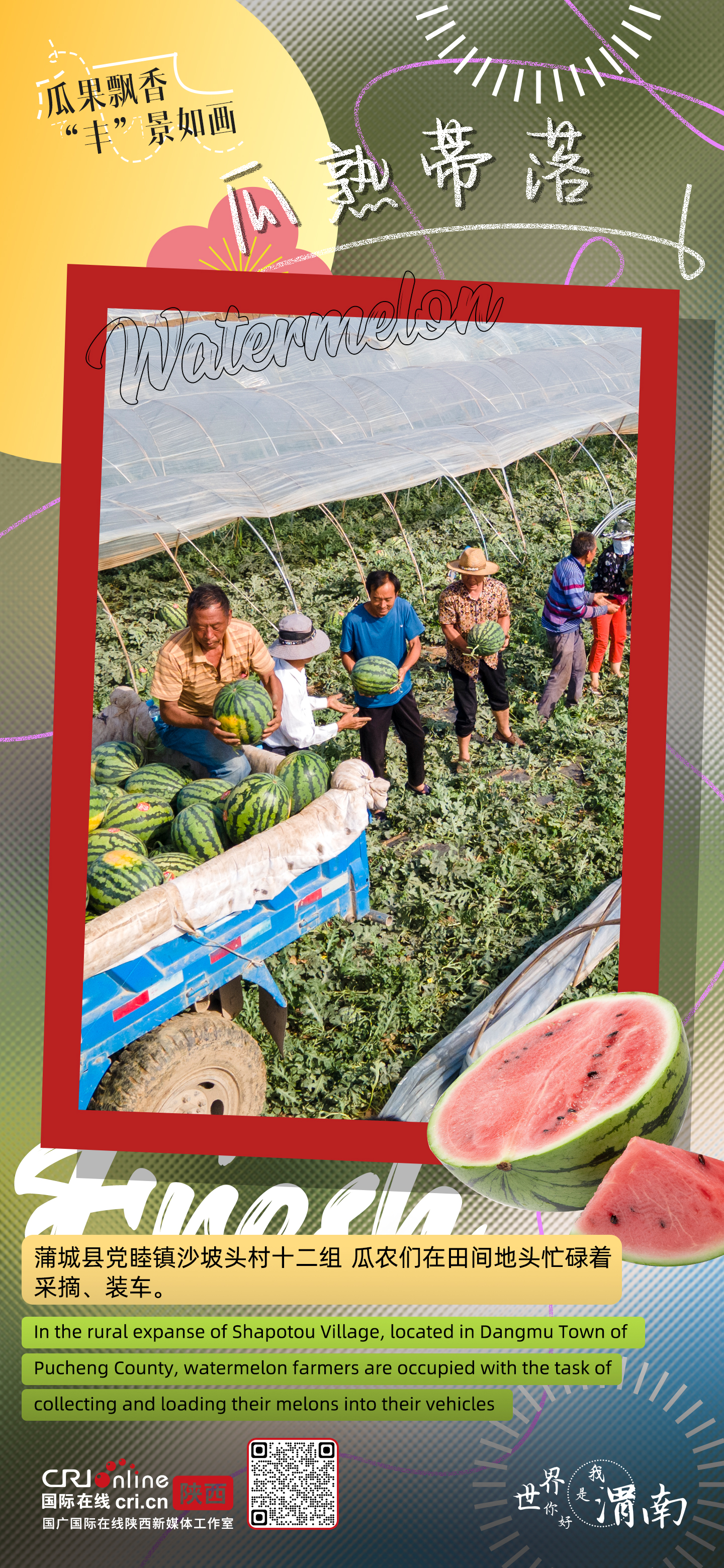 陕西渭南：瓜果飘香 “丰”景如画_fororder_微信图片_20230626154618