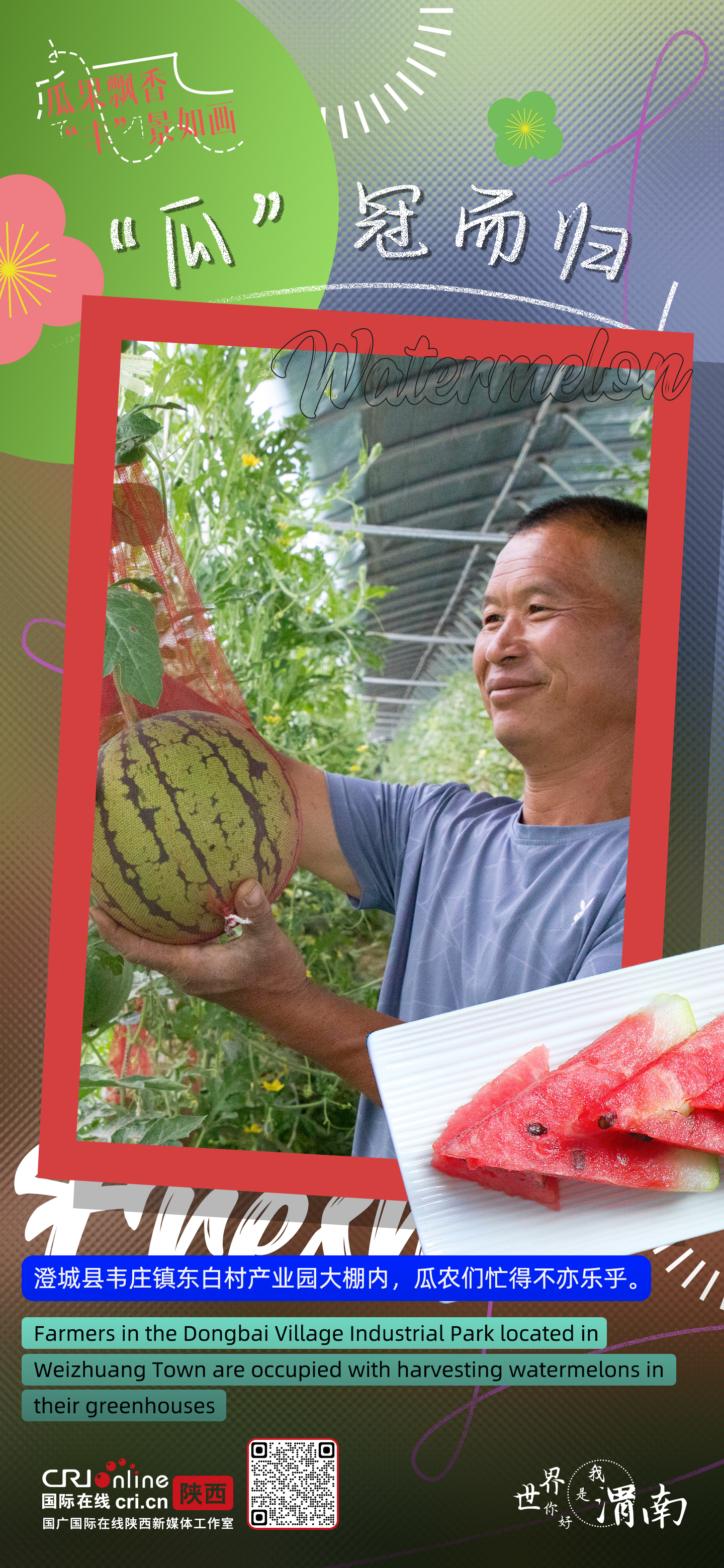 陕西渭南：瓜果飘香 “丰”景如画_fororder_微信图片_20230626154621