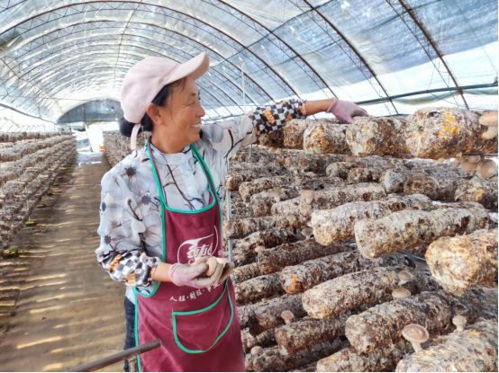 河北平泉：设施农业富了农民_fororder_河北平泉：设施农业富了农民286