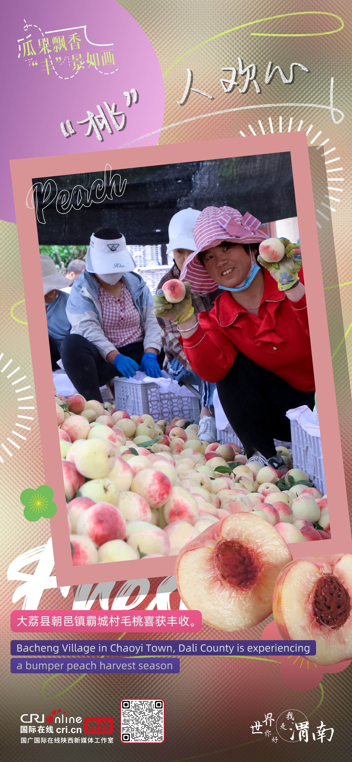 陕西渭南：瓜果飘香 “丰”景如画_fororder_微信图片_20230626154611