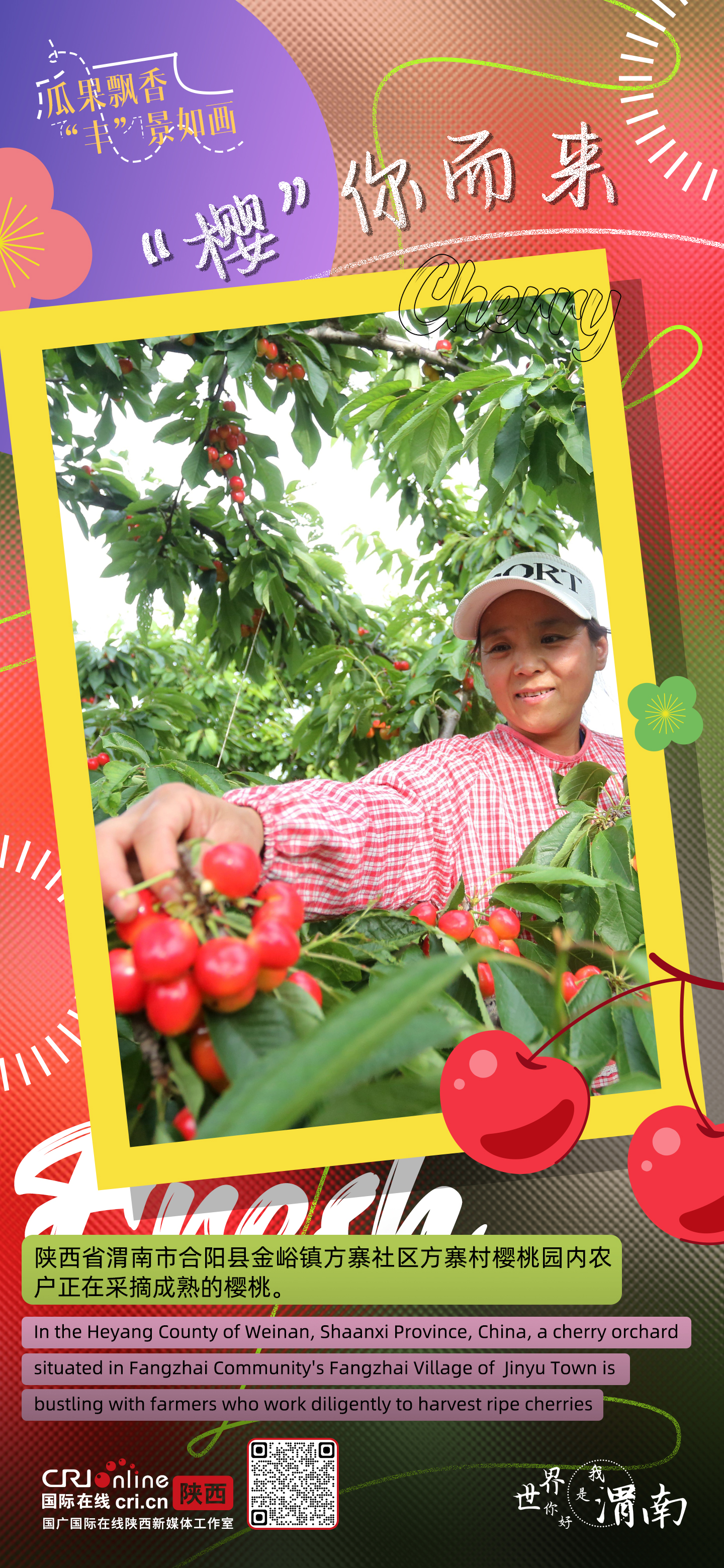 陕西渭南：瓜果飘香 “丰”景如画_fororder_微信图片_20230626154624