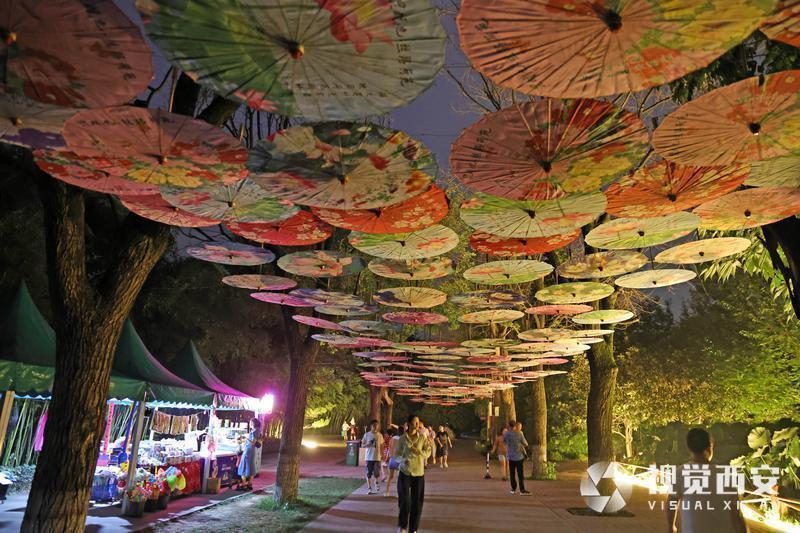 夏日避暑竹林雾海