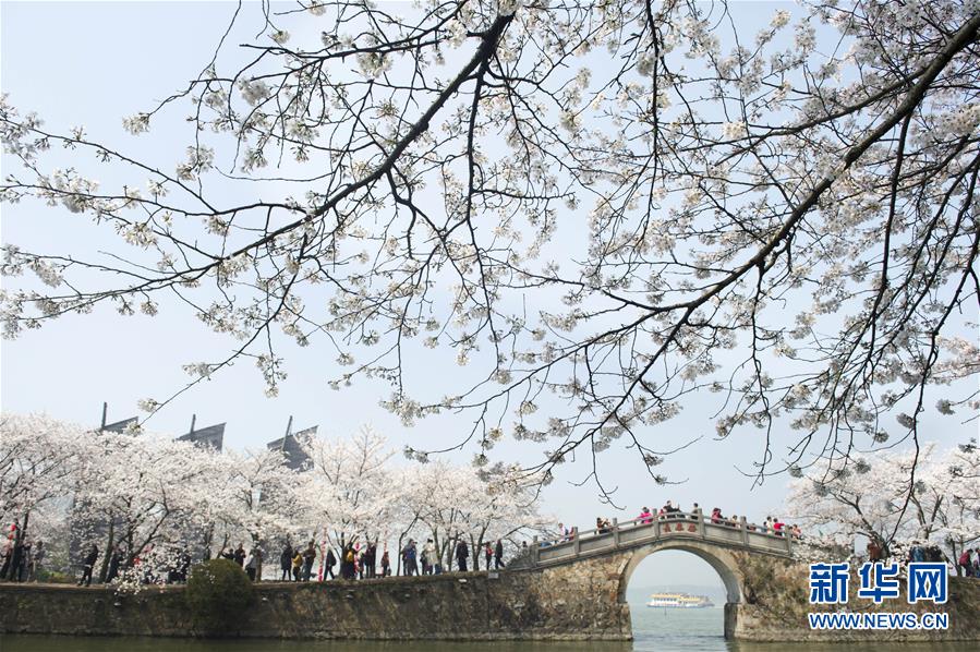又是一年花好時