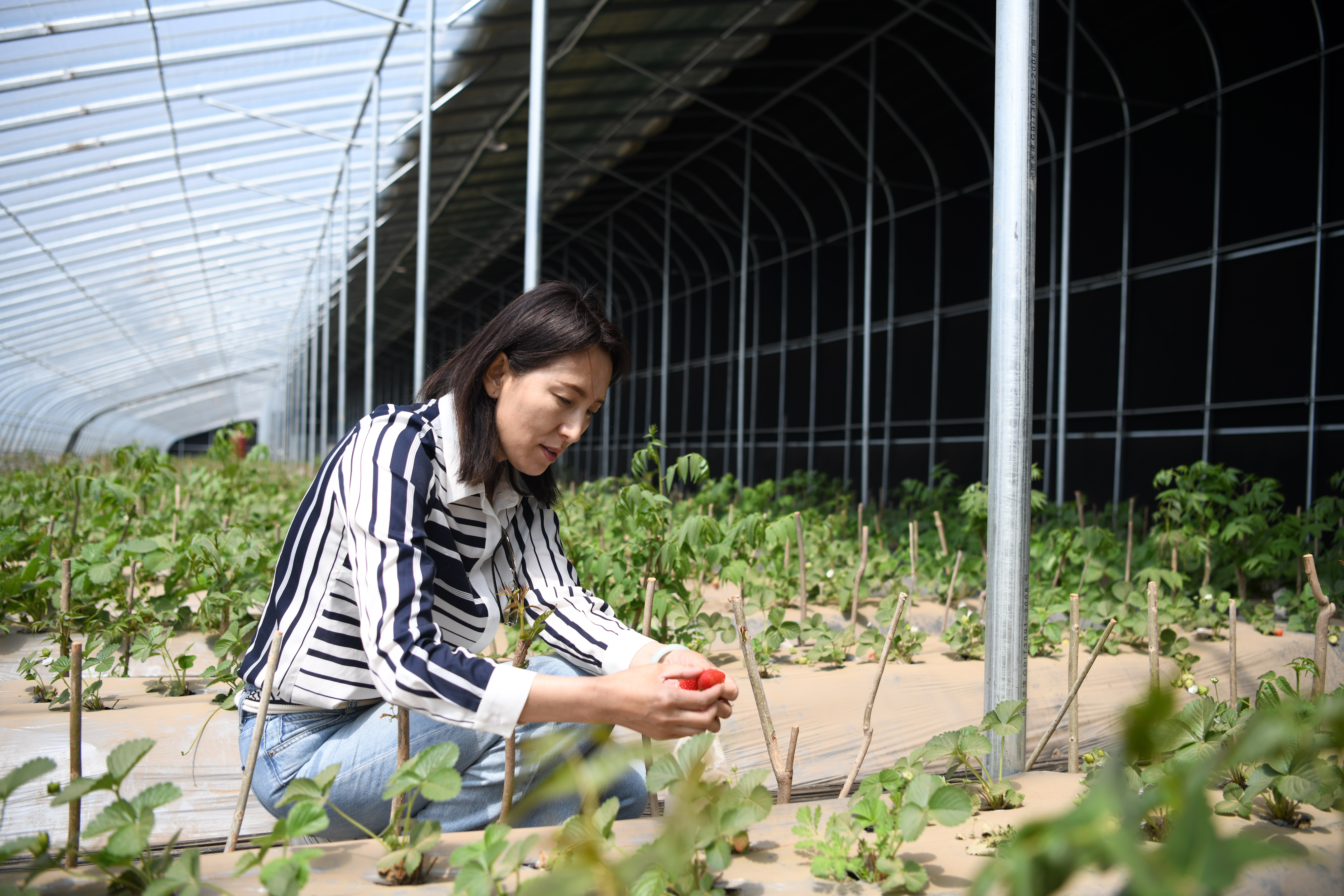 河北隆化：生态农业游引客来_fororder_3