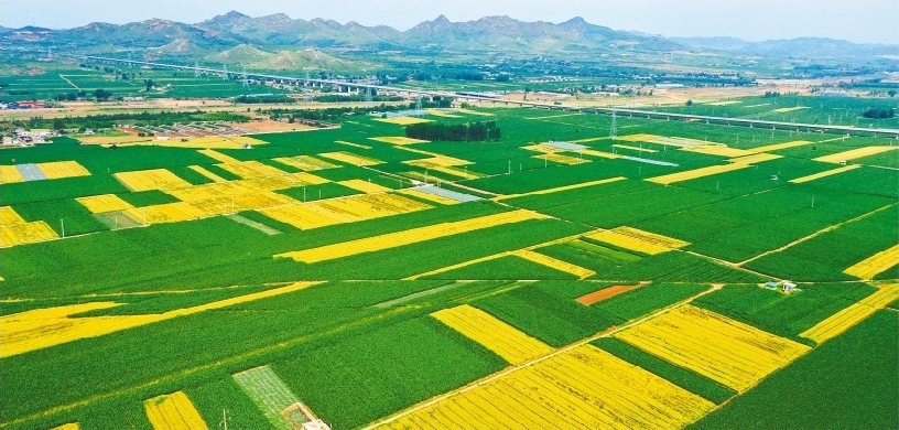 辽宁朝阳：乡村田野美如画