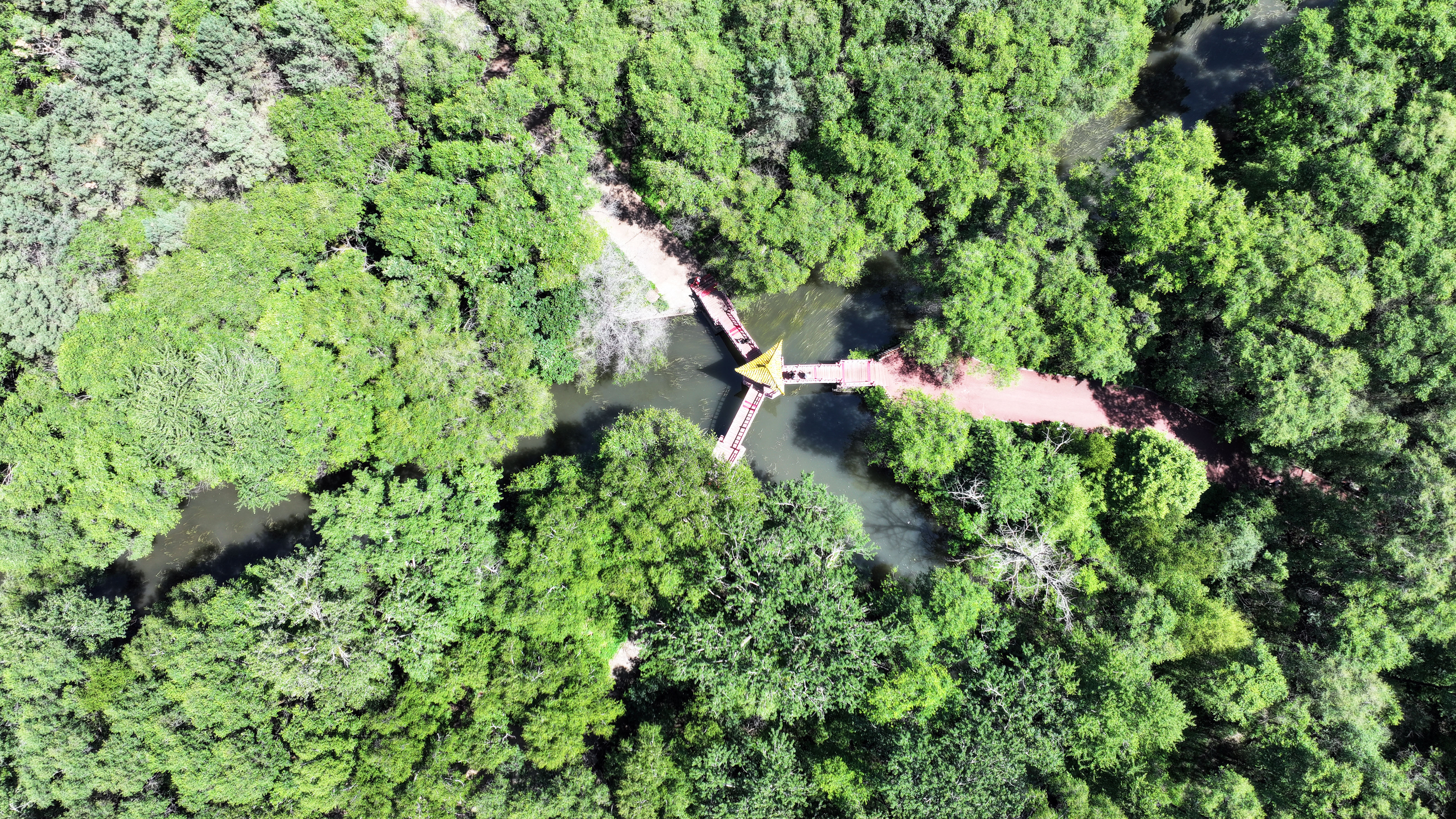 内蒙古扎兰屯：美丽家园 和谐共生_fororder_4——2023年6月23日，内蒙古扎兰屯市吊桥公园三向桥在树木掩映下如诗如画。彭泽峰 摄.JPG