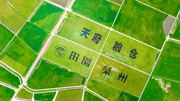 光影描绘新自贡｜摄影家聚焦荣县万亩稻田 用镜头展现美丽田园风光_fororder_4荣县观山镇赖河坝粮油现代农业园区风光（摄影-廖志全）