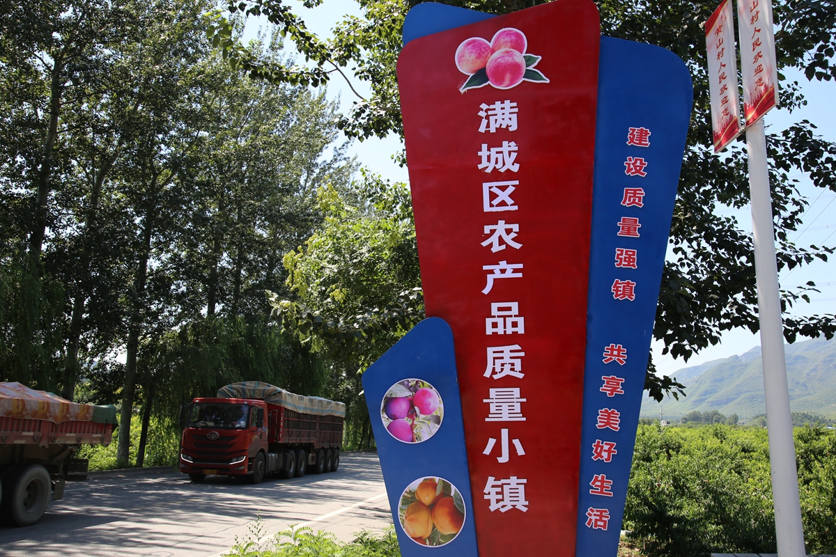 图片默认标题_fororder_满城区农产品质量小镇标识 摄影 朱路.JPG