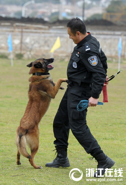 2018年3月26日,舟山市,一条警犬和它的训导员在一起.