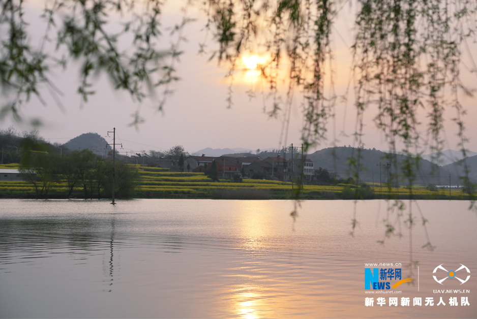 【大美荆楚·灵秀湖北】航拍“油菜之乡”湖北武穴万亩油菜花绽放