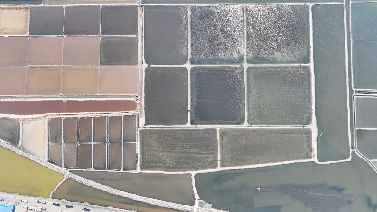 河北黄骅：夏季扒盐收获忙_fororder_图片55