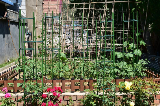 河北宽城：推进农村人居环境提升 全力打造美丽宜居乡村_fororder_河北宽城永存村：推进农村人居环境提升 全力打造美丽宜居乡村135