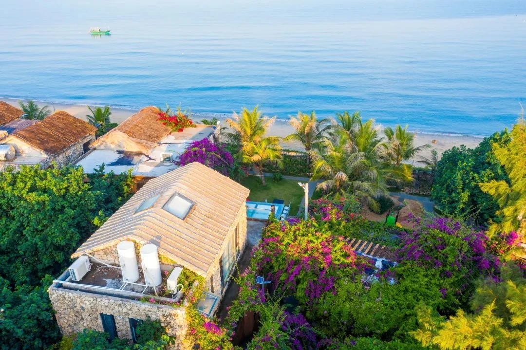 粤看粤美 | 惊艳！来看这片海底斑斓_fororder_3