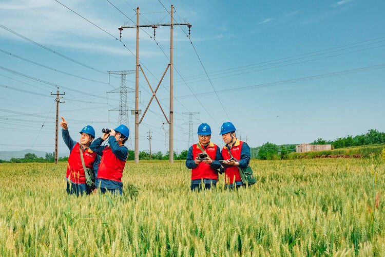 国网陕西电力：多措并举 护航三秦清凉一夏_fororder_国网陕西电力员工巡视线路.JPG