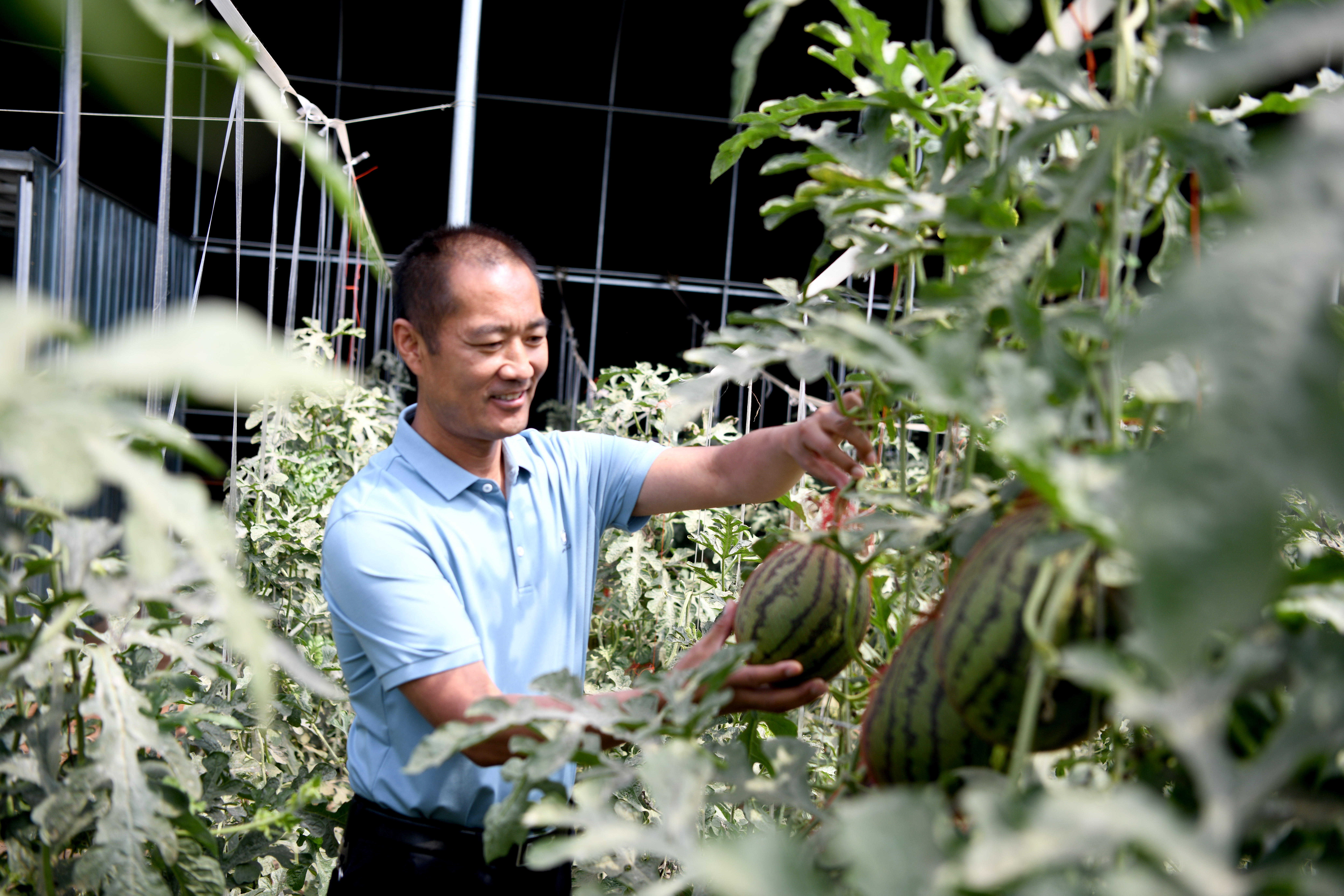河北隆化：生态农业游引客来_fororder_2