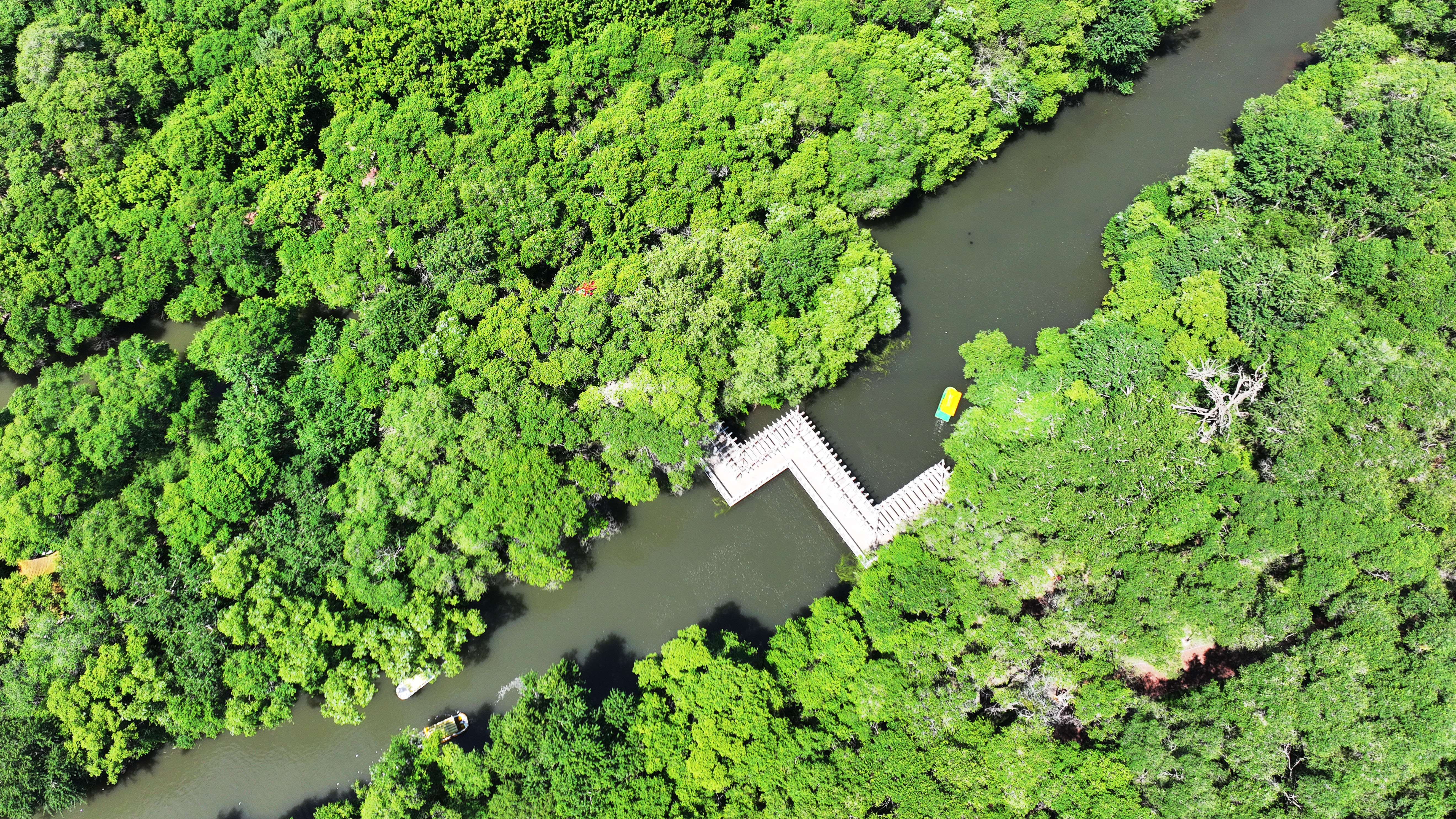 内蒙古扎兰屯：美丽家园 和谐共生_fororder_3——2023年6月23日，内蒙古扎兰屯市吊桥公园曲向桥在树木掩映下如诗如画。彭泽峰 摄.JPG