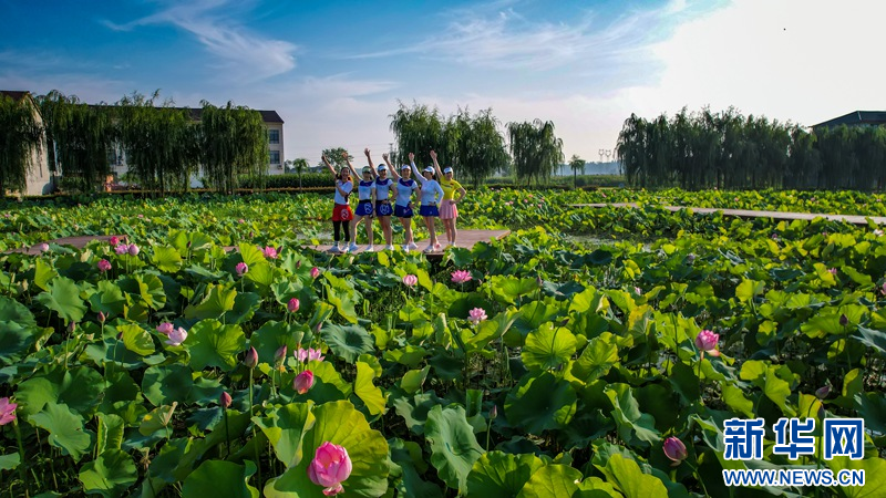 湖北南漳：荷花别样红 乡村旅游热