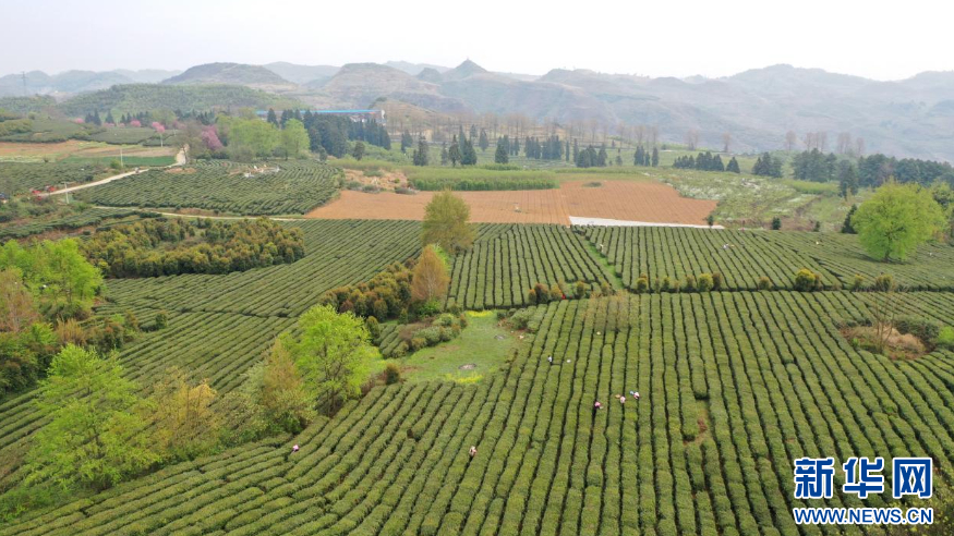 瞰毕节：从试验区到示范区 感受乌蒙山乡发展律动