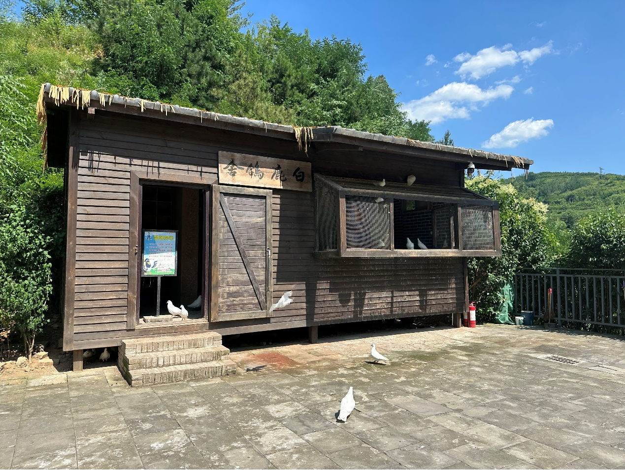 西安：融合赋能文旅“出圈” 千年古都“西”引力拉满_fororder_图片15