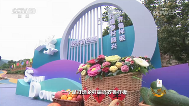 《对话》：打造乡村振兴齐鲁样板_fororder_齐鲁样板