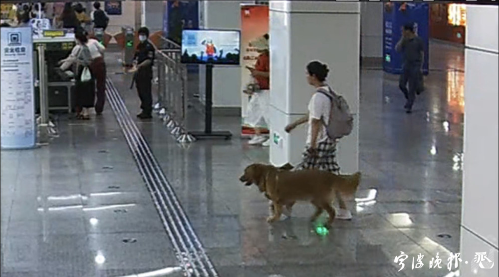 她和她的导盲犬，被这群警察叔叔默默守护了400多天_fororder_2556184777869744