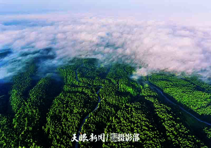 厚植綠色家底持續“生態領跑” ——貴州不斷提升高品質發展“含綠量”