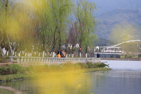 【行遊巴渝 標題摘要】賞花地圖出爐 快到梁平這座花園城市採擷春光