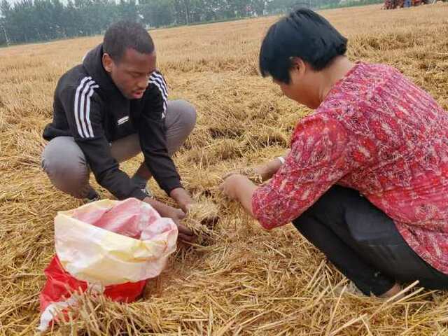 资讯有故事｜中国农业大学“中非科技小院”：助力非洲农业发展