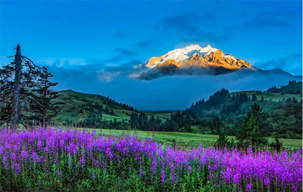 到这里偶遇丁真！甘孜理塘赛马会向您发出邀请_fororder_未标题-2