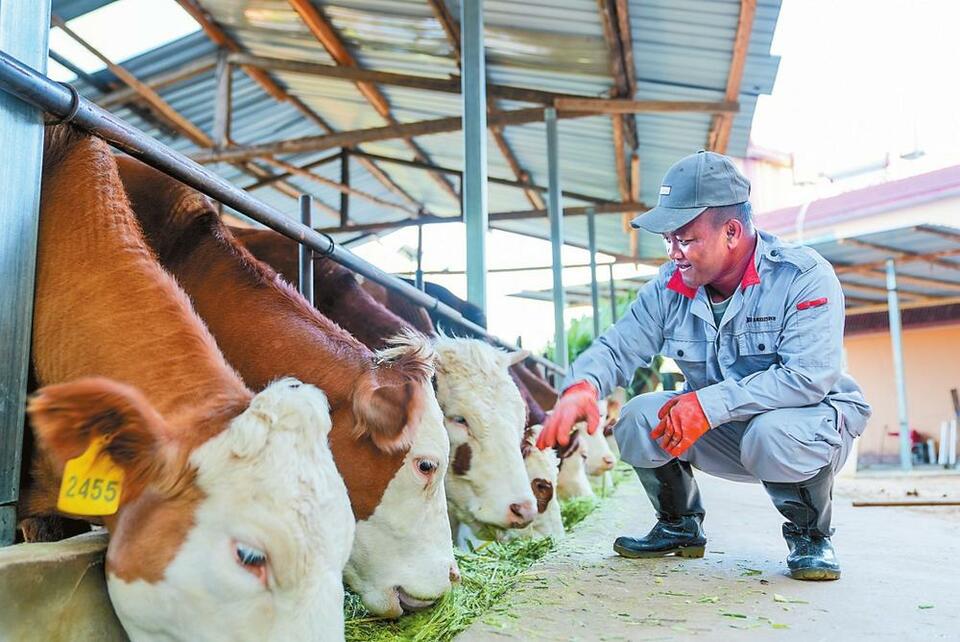 普洱西盟:素質培訓提升村幹部能力_fororder_a86513