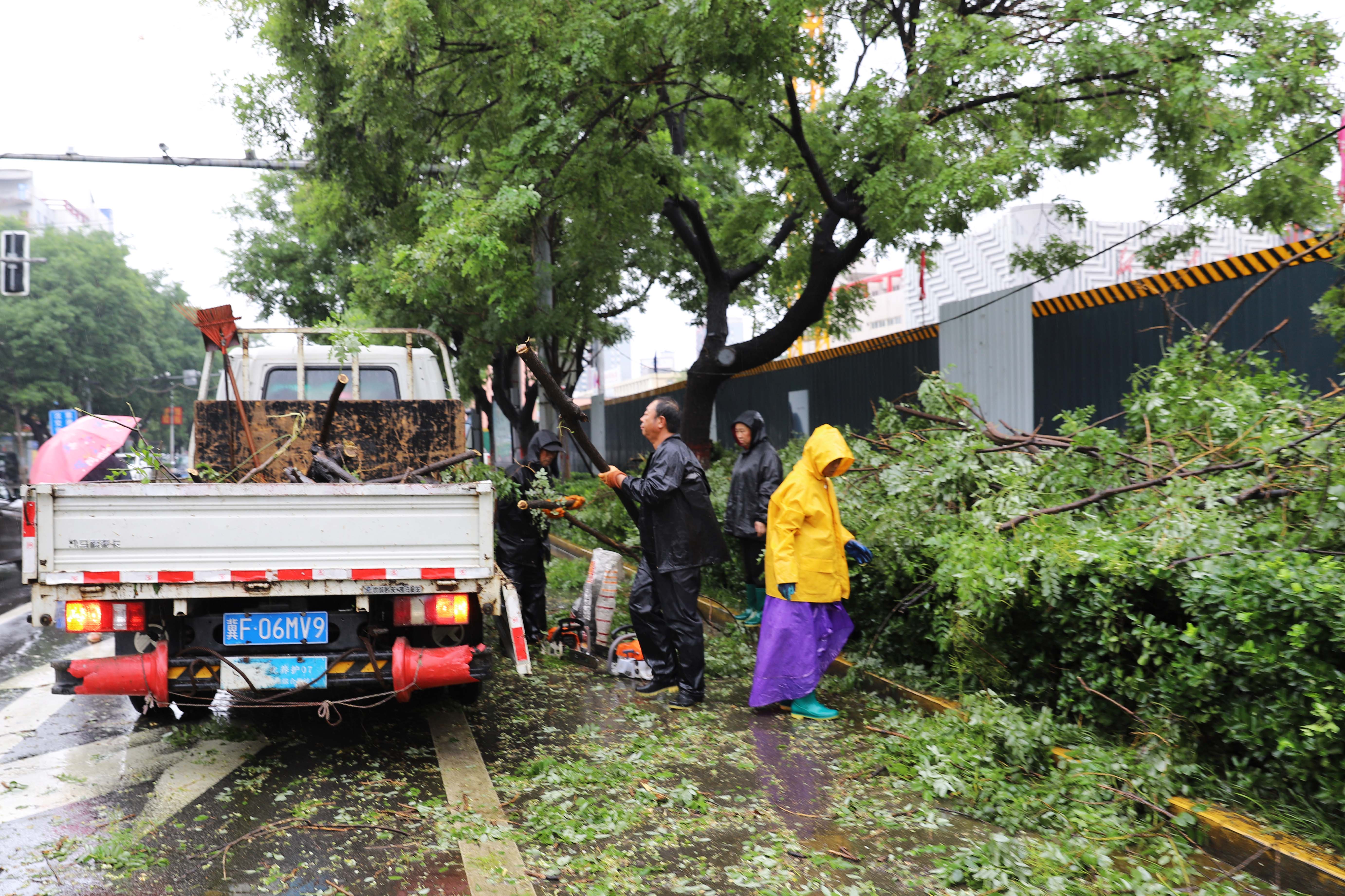 河北涿州：3万余名党员防汛一线筑起“红色堤坝”_fororder_7月31日，涿州市城市综合执法局园林站工作人员及时对道路边折枝断枝进行及时清理。熊华明摄