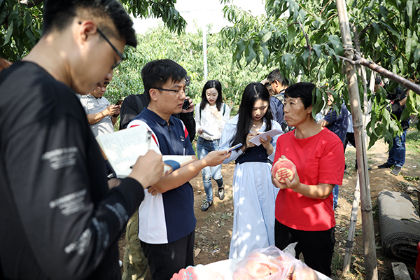 北京平谷大桃全力保障國宴用桃 獻禮國慶70週年