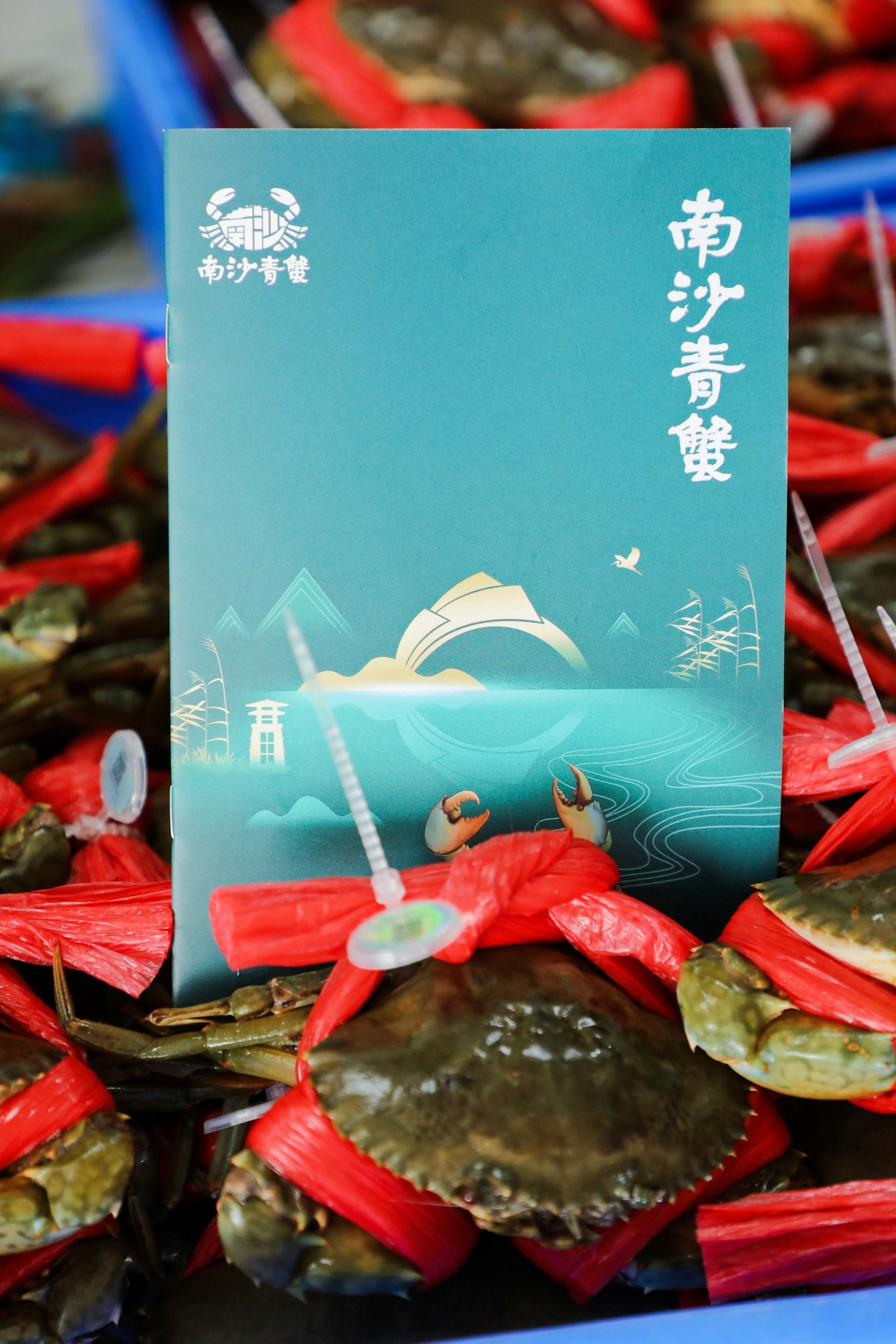 广州南沙成立青蟹品牌中心和青蟹产业协会 推动南沙富民兴村建设_fororder_图片2