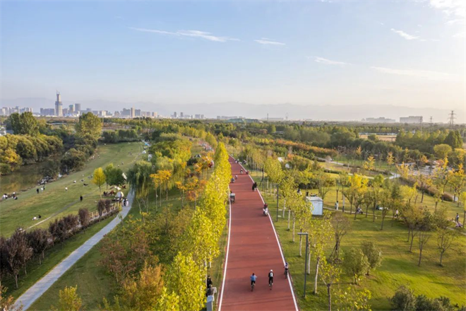 西咸新区沣西新城：家门口的运动场_fororder_图片12